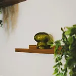 T2 Cosy équipé, Parking Et Wifi Gratuit, Appartement Castres (Tarn)