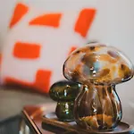 T2 Cosy équipé, Parking Et Wifi Gratuit, * Castres (Tarn)