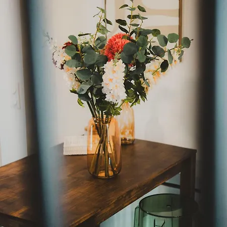 T2 Cosy Equipe, Parking Et Wifi Gratuit, Castres (Tarn)