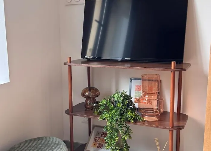 Апартаменты T2 Cosy Equipe, Parking Et Wifi Gratuit, Кастр