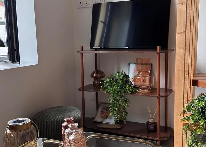 Апартаменты T2 Cosy Equipe, Parking Et Wifi Gratuit, Кастр