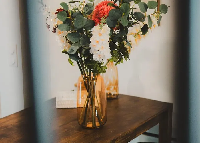 T2 Cosy Equipe, Parking Et Wifi Gratuit, Кастр