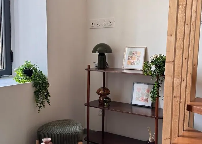 T2 Cosy Equipe, Parking Et Wifi Gratuit, *