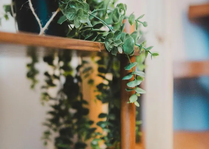 Апартаменты T2 Cosy Equipe, Parking Et Wifi Gratuit, *